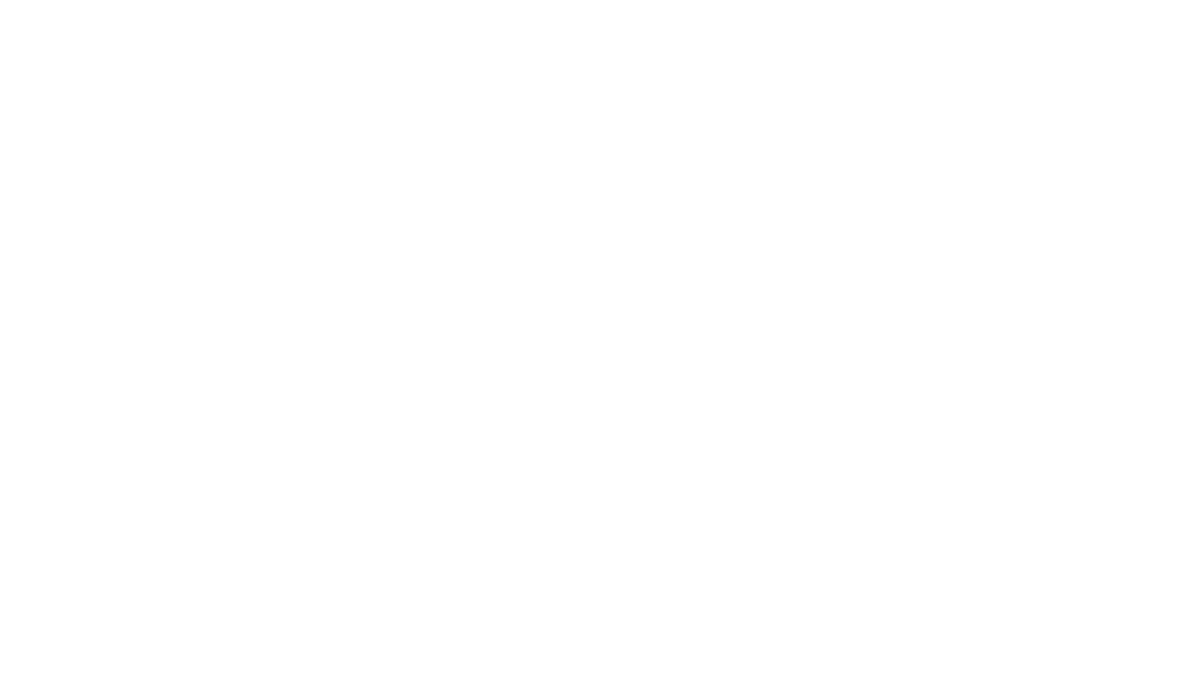 Logo BOOM STORE