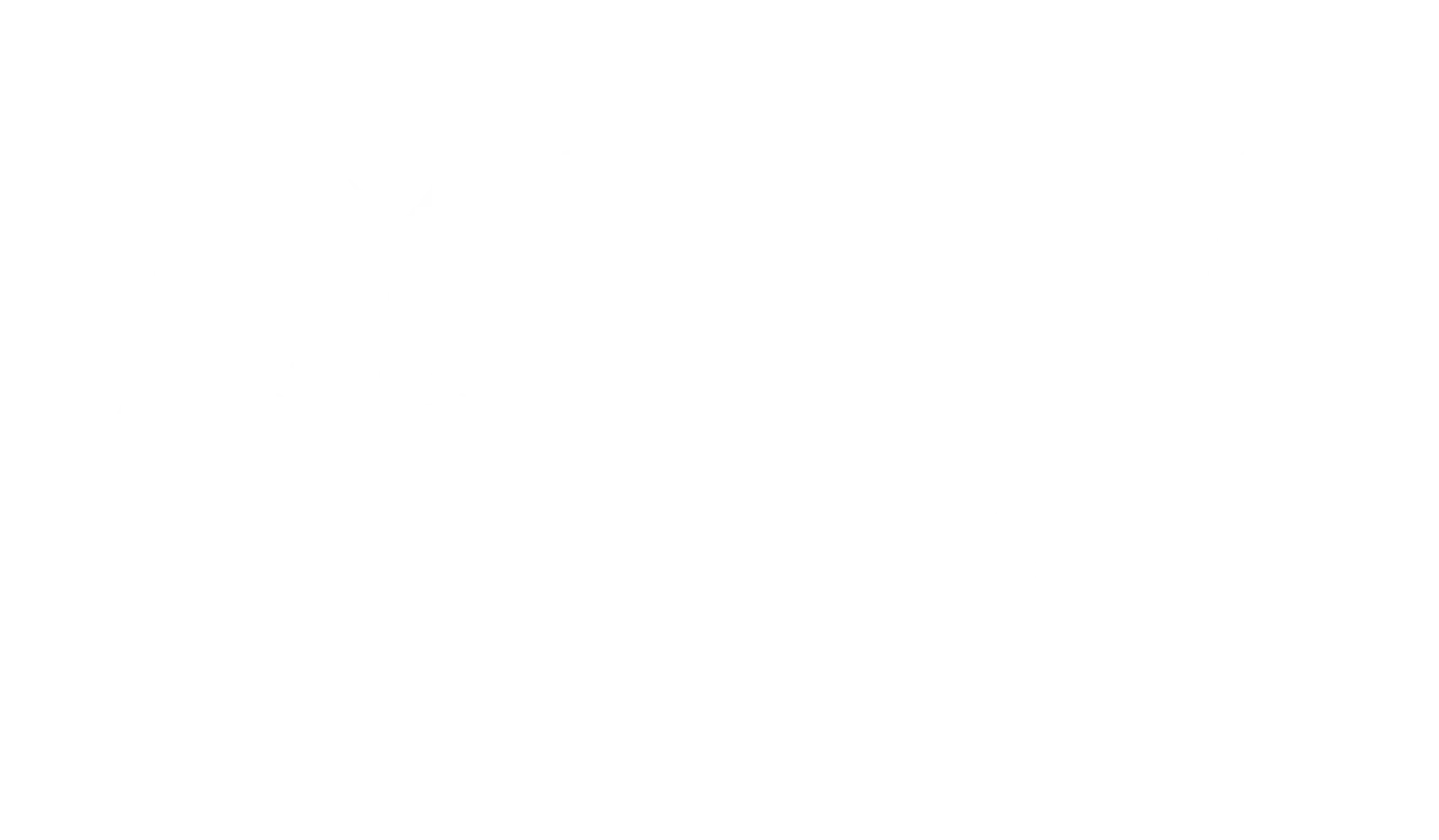 Logo BOOM STORE